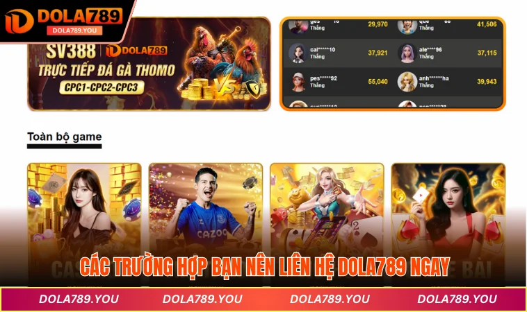 Các trường hợp bạn nên liên hệ DOLA789 ngay