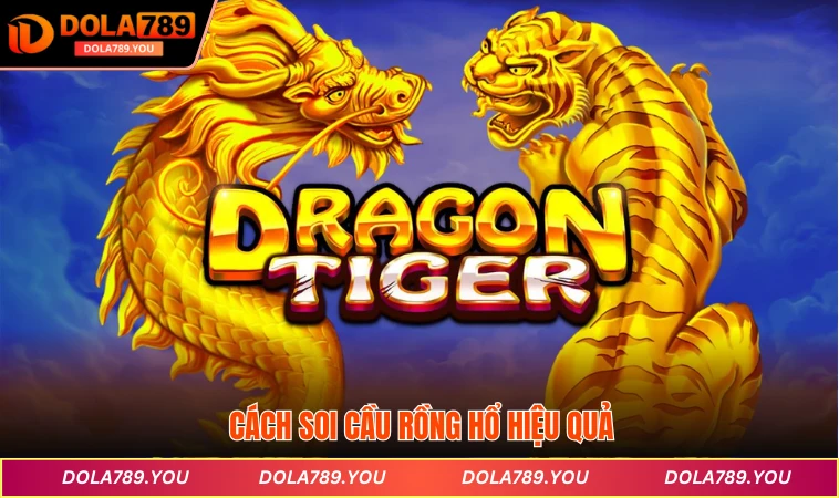 Cách soi cầu rồng hổ
