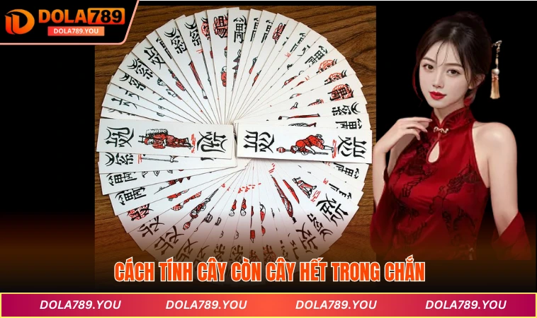 Cách Tính Cây Còn Cây Hết Trong Chắn