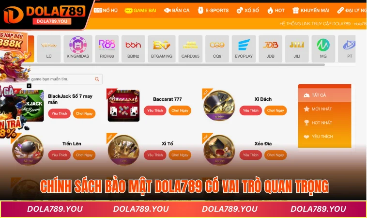 Chính sách bảo mật DOLA789 có vai trò quan trọng