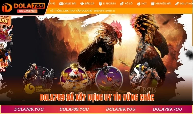 DOLA789 đã xây dựng uy tín vững chắc