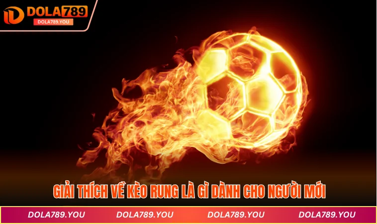 Giải thích về kèo rung là gì dành cho người mới