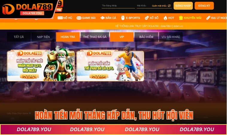 Hoàn tiền mỗi tháng hấp dẫn, thu hút hội viên