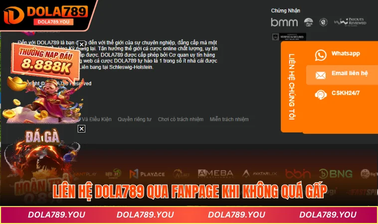 Liên hệ DOLA789 qua Fanpage khi không quá gấp