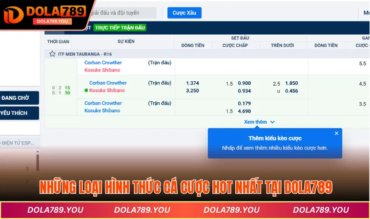 Những loại hình thức cá cược hot nhất tại DOLA789