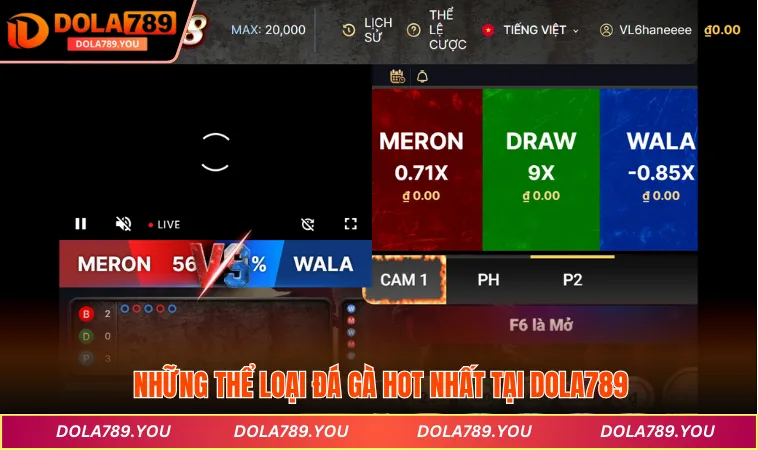 Những thể loại đá gà hot nhất tại DOLA789