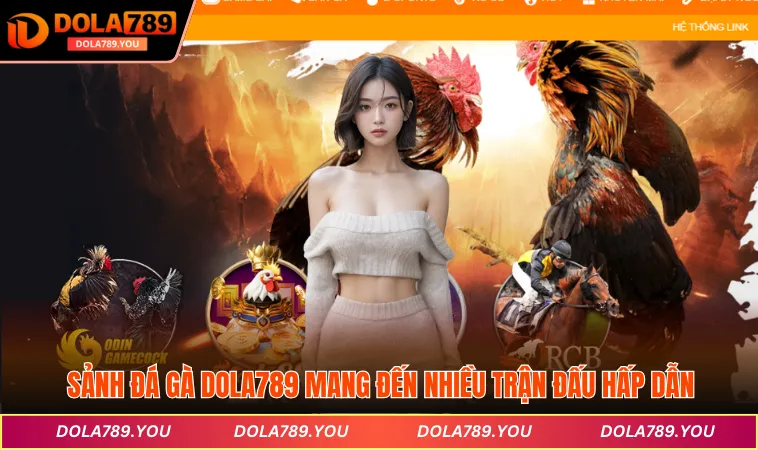 Sảnh Đá gà DOLA789 mang đến nhiều trận đấu hấp dẫn