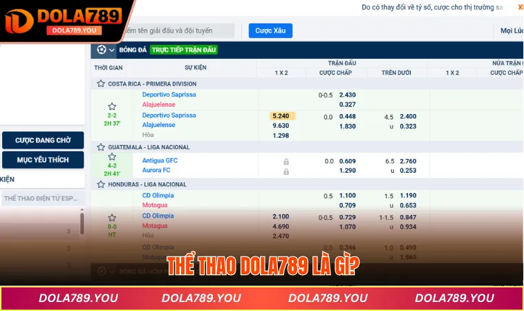 Thể thao DOLA789 là gì?