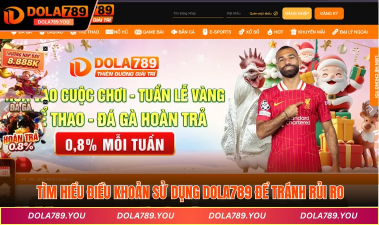 Tìm hiểu điều khoản sử dụng DOLA789 để tránh rủi ro