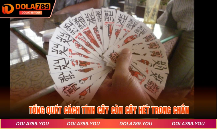 Tổng quát cách tính cây còn cây hết trong Chắn